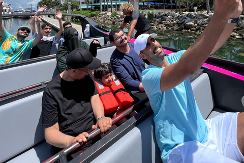 Aluguer de Jet Ski em Biscayne Bay e passeio de barco gratuito