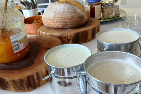 Sofia : dégustation de yaourt bulgare dans des ruines antiques – Édition exclusiveSofia : Dégustation de yaourt bulgare dans des ruines antiques – Exclusif