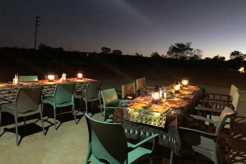 Wild Zambezi: Safari, Traditional Dinner & Stars