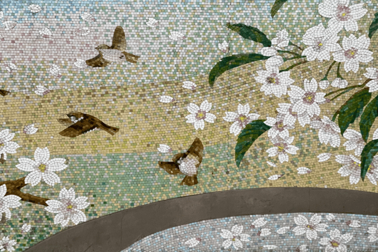 Osaka: Daytime Hanami (Cherry Blossom) and Food Tour