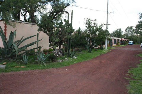 Città del Messico: Tour della Basilica e delle Piramidi di Teotihuacan