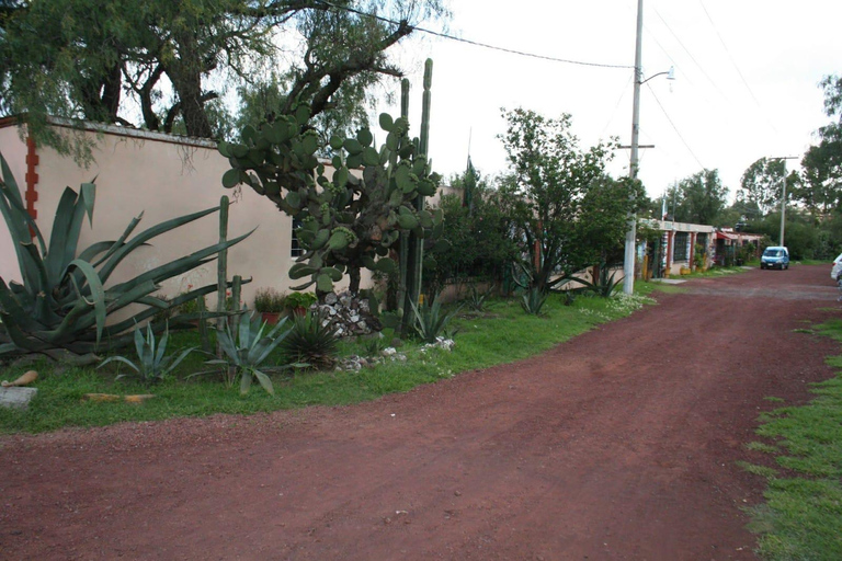 Città del Messico: Tour della Basilica e delle Piramidi di Teotihuacan