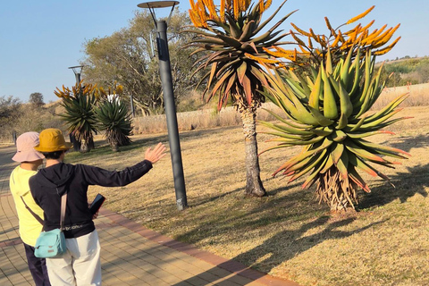 Johannesburg: Cradle Of Humankind & Fossil Discovery Tour