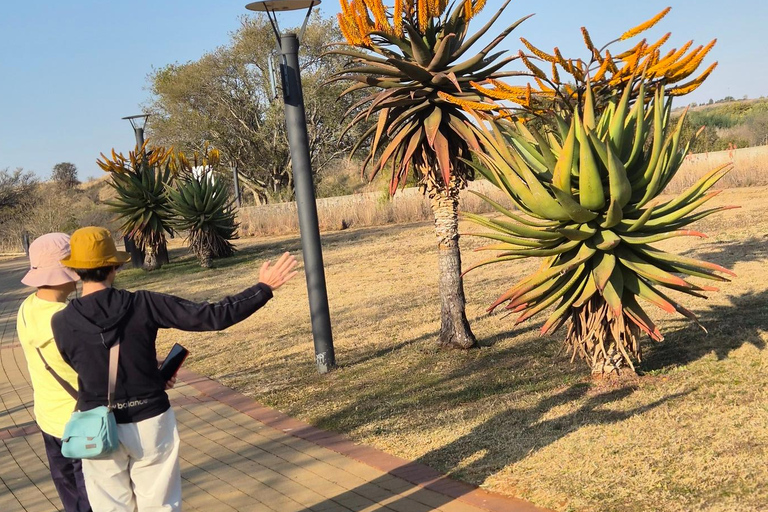 Johannesburg: Cradle Of Humankind & Fossil Discovery Tour