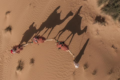 Giro in cammello nel deserto di DakhlaGiro in cammello al tramonto 1 ora