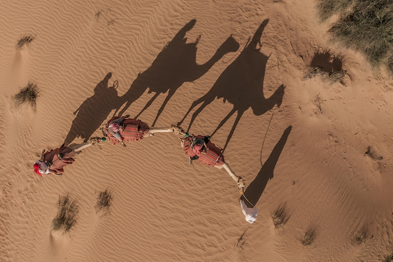 Giro in cammello nel deserto di DakhlaGiro in cammello al tramonto 1 ora