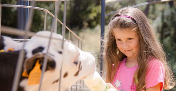 Menorca: Guided visit of the Subaida cheese farm,