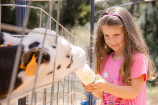 Gastronomic Experiences in Menorca