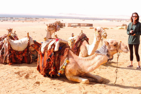 Desde El Cairo : Acampada nocturna en el Oasis de El-Fayoum