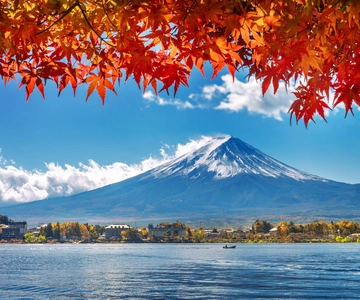 Tokyo to Mt. Fuji & Hakone: Private Full-Day Tour