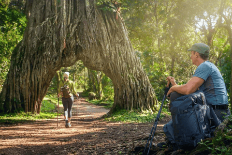 Arusha: Safari de 2 días por Arusha y el Parque Nacional MkomaziArusha: safari de 2 días por Arusha y el Parque Nacional Mkomazi