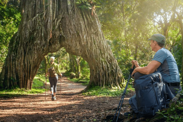 Arusha: 2-tägige Safari nach Arusha und zum Mkomazi-NationalparkArusha: 2-tägige Safari nach Arusha und in den Mkomazi-Nationalpark