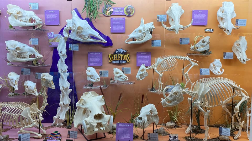 Oklahoma City: SKELETONS: Museum of Osteology Ticket | GetYourGuide