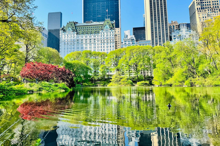 NYC : Visite privée de Central Park en Pedicab / PRISE EN CHARGE DEPUIS LE MUSÉEVISITE PRIVÉE DE 1 HEURE