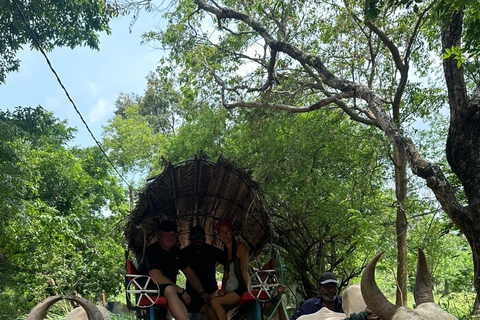 CMB/Negombo: Sigiriya, Kandy & Ella Private Tour with Driver Private Van with Driver – Up to 50 km