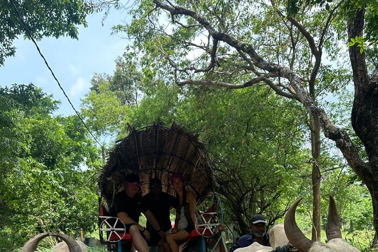 CMB/Negombo: Sigiriya, Kandy & Ella Private Tour with Driver Private Van with Driver – Up to 50 km