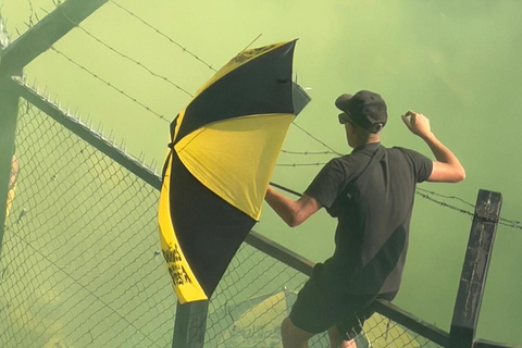 Club Atlético Peñarol Match Live Experience