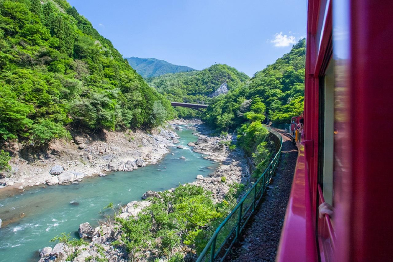 Osaka/Kyoto: Sanzenin, Arashiyama Train, Bamboo Forest Tour Osaka Station Meeting Point 8:40 AM