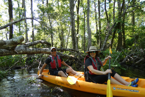 Blackwater Creek: Exclusive Nature Escape Kayak Adventure Blackwater Creek: Exclusive Wilderness Kayak Adventure