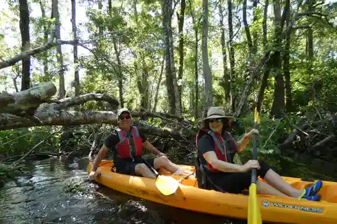 Blackwater Creek: Aventura exclusiva de caiaque no Nature Escape