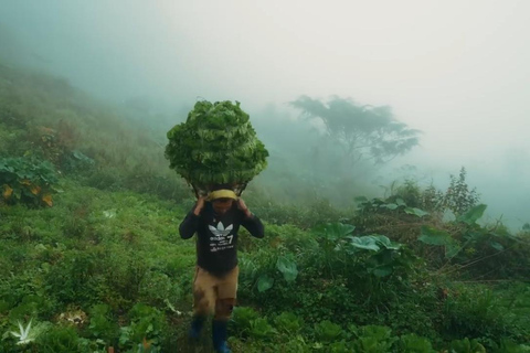 宿务：奥斯梅尼亚峰与卡瓦桑峡谷探险一日游宿务：奥斯梅尼亚峰和卡瓦山峡谷探险一日游