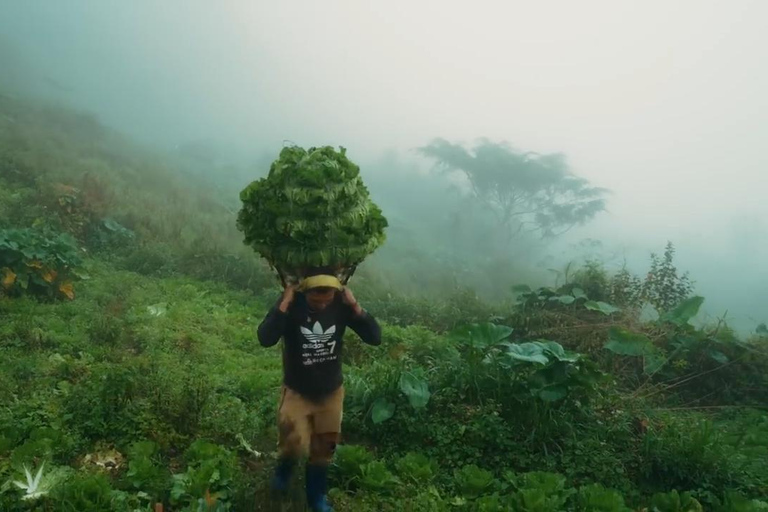 宿务：奥斯梅尼亚峰与卡瓦桑峡谷探险一日游宿务：奥斯梅尼亚峰和卡瓦山峡谷探险一日游