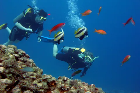 Excursion de plongée sous-marine à Hurghada avec prise en charge, déjeuner