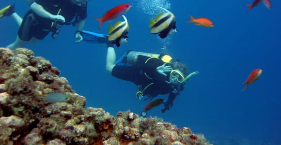Дайвинг-тур в Хургаде с трансфером и обедом