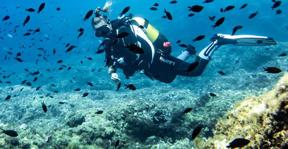 Mallorca Alcudia: Dip&Dive - Tauchen für Anfänger & Schnorcheln