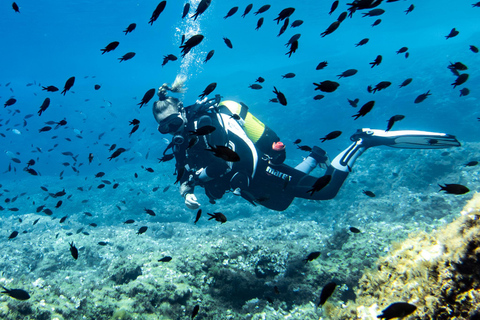 Mallorca: duiken zonder brevet met een duikinstructeur vanaf de boot - Cap de FormentorProbeer Scuba - Proefduiken