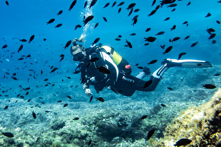Mallorca: duiken zonder brevet met een duikinstructeur vanaf de boot - Cap de FormentorProbeer Scuba - Proefduiken