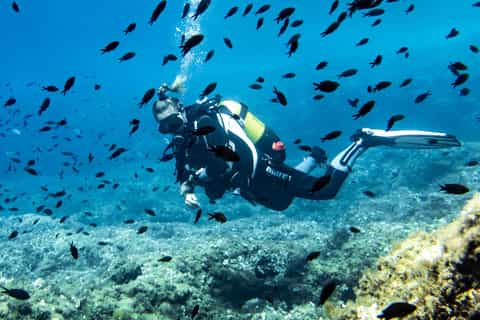 Mallorca: Tauchen ohne Lizenz mit Tauchlehrer vom Boot - Cap de Formentor