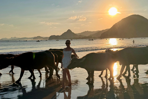 Lombok: Weaving, South Beach, Sunset with Buffalo Tour Lombok: Weaving, South Beach, Sunset with Buffalo Tour