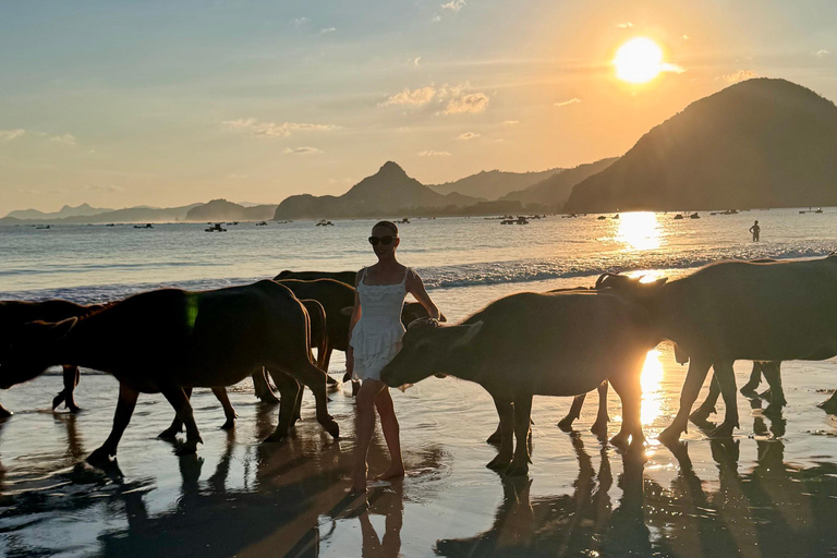 Lombok: Weaving, South Beach, Sunset with Buffalo Tour Lombok: Weaving, South Beach, Sunset with Buffalo Tour
