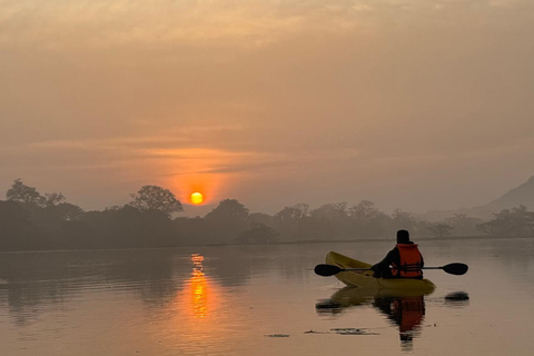 Sigiriya: Birdwatching Kayak Tour with Guide