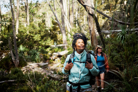 Intimate Blue Mountains Wild Kangaroos, Wilderness & Sunset
