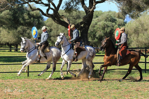 Cádiz: Andalusische paarden en stieren landshow