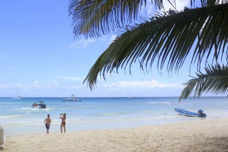 Private: Full-Day Excursion from Chavón & Saona Island