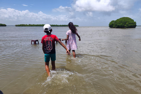 From Negombo: Boat Tour of Negombo Lagoon
