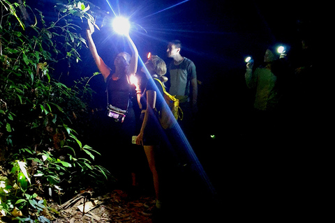 Khao Sok: Half-Day & Night Wildlife Trek and Jungle Dinner Option 6: Half-Day & Night Trek with Dinner From Khao Lak