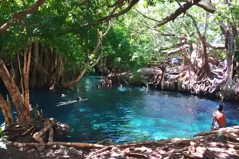 Moshi : excursion d'une journée aux sources d'eau chaude de Kikuletwa avec transferts
