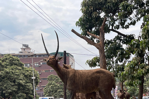 Kampala: Excursão a pé guiada na cidade para grupos pequenos