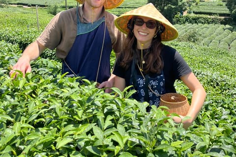 Shanghai to Hangzhou: Tea‑Picking & West Lake Day Tour