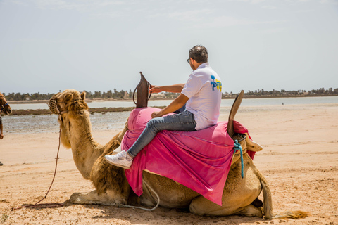 Paquete familiar: reserva tres excursiones y disfruta de una gratis.