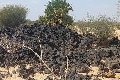 Danakil depression -Dallol-Ertale volcano-Afar Ethiopia Tour