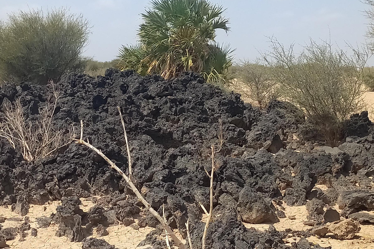 Danakil depression -Dallol-Ertale volcano-Afar Ethiopia Tour