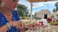 Brindisi, classe de cuisine et dégustation dans l'olive Grove - Housity