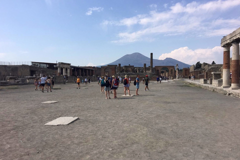 Pompeii Guided Walking Tour With Entrance Ticket Tour in French