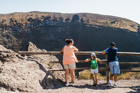 From Naples: All-Inclusive Mount Vesuvius Half-Day Tour From Naples Hotel at 2pm