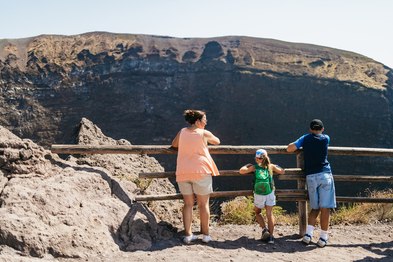 From Naples: All-Inclusive Mount Vesuvius Half-Day TourFrom Naples Rail Station